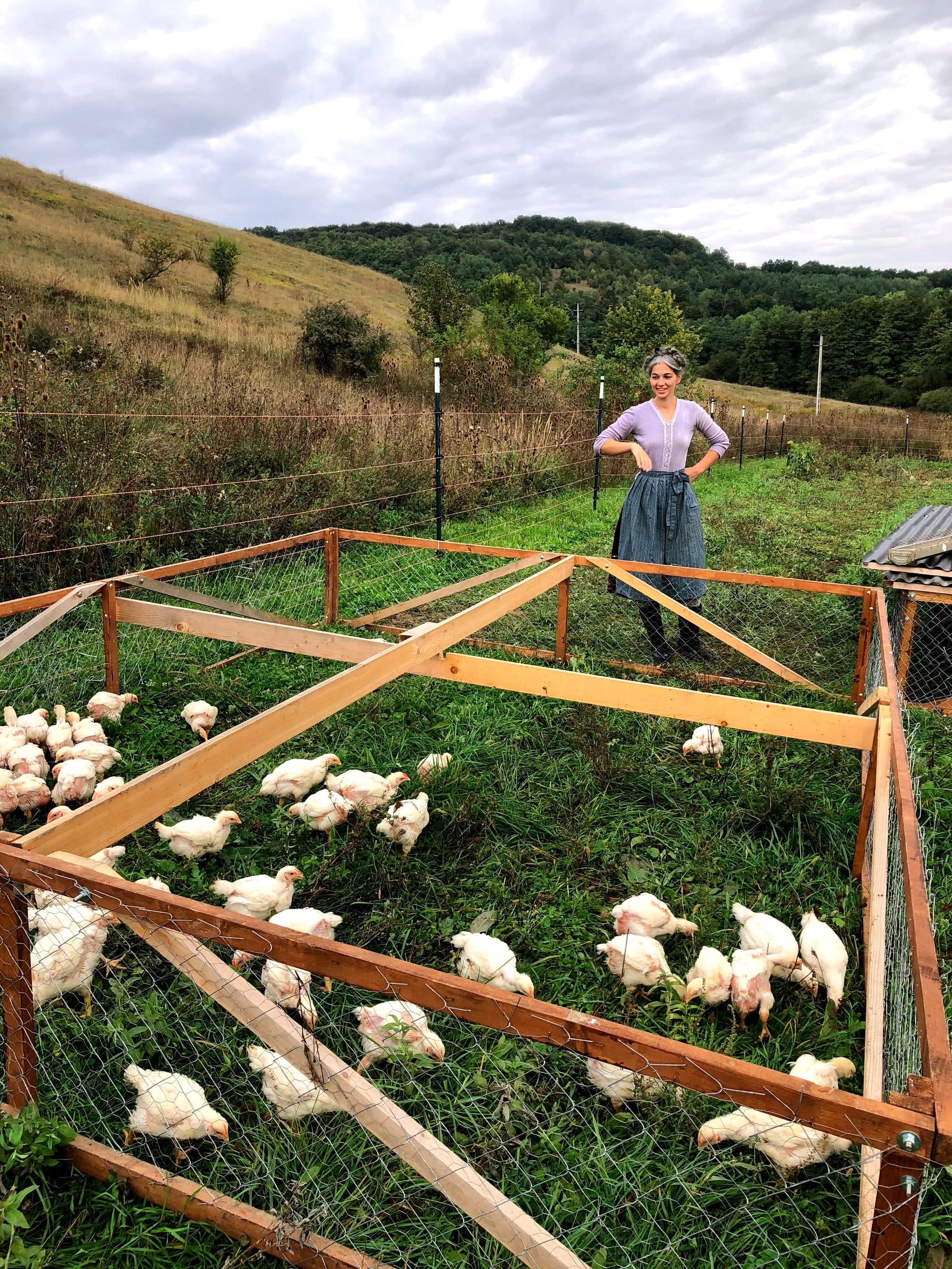 Mozgatható csirketraktor terv (Joel Salatin alapján)